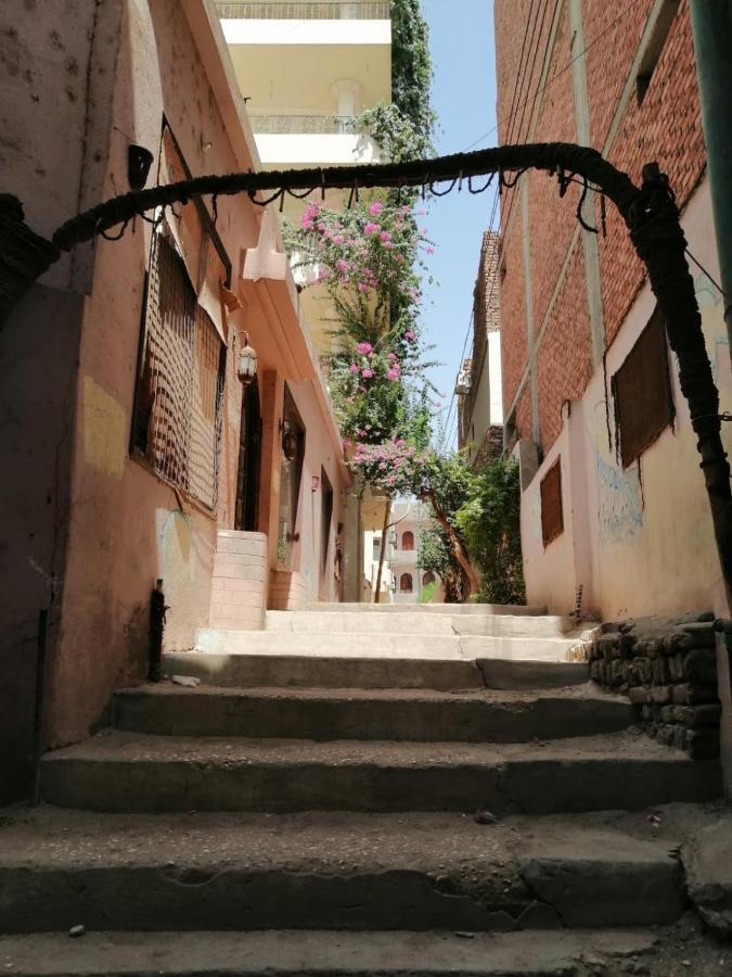 Winter Guest House Luxor Exterior foto